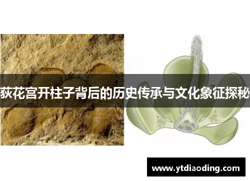 荻花宫开柱子背后的历史传承与文化象征探秘 荻花宫开柱子背后的历史传承与文化象征探秘